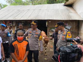 Polres Lumajang Ungkap Jaringan Pencurian Sapi, Satu Pelaku berhasil Dilumpuhkan