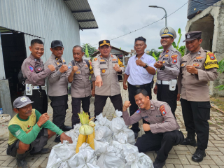 Panen Jagung Tahap 4 : Polres Pelabuhan Tanjung Perak Terus Dukung Ketahanan Pangan