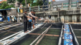 Bhabinkamtibmas Morokrembangan Dukung Program Ketahanan Pangan Lewat Keramba Lele di Gadukan Utara