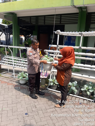 Bhabinkamtibmas Polsek Krembangan Laksanakan Sambang dan Cek Tanaman Brokoli di Lahan Kosong Sekolah