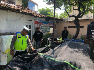 Patroli Harkamtibmas Polsek Semampir Pantau Ketahanan Pangan di Kampung Tangguh Sidotopo