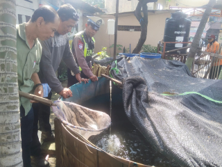 Patroli Harkamtibmas Polsek Semampir: Pantau Program Budidaya Ikan Lele di Pos Kampling Sidotopo