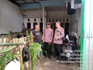 Polsek Krembangan Laksanakan Patroli Pemantauan Penjual Hewan Kurban di Jalan Tanjung Sadari