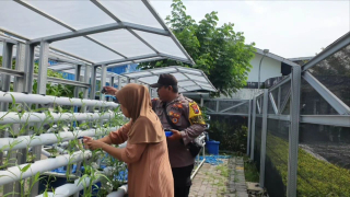 Bhabinkamtibmas Kelurahan Tanjung Perak Laksanakan Patroli Cek and Recek Program Ketahanan Pangan di Taman Hidroponik Petekan