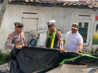 Pemantauan Ketahanan Pangan di Kampung Tangguh Sidotopo oleh Polsek Semampir