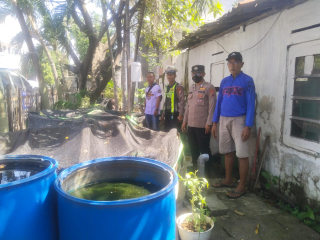 Patroli Harkamtibmas Semampir 1A, Pantau Program Budidaya Ikan Lele di Kampung Tangguh