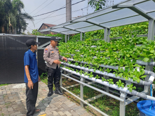 Bhabinkamtibmas Polsek Pabean Cantikan Dampingi Petani Hidroponik dalam Program Ketahanan Pangan