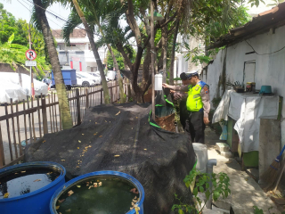 Patroli Harkamtibmas Polsek Semampir di Kampung Tangguh Sidotopo Pantau Program Ketahanan Pangan Budidaya Ikan Lele