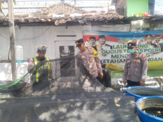 Patroli Harkamtibmas Polsek Semampir Pantau Program Budidaya Ikan Lele di Kampung Tangguh