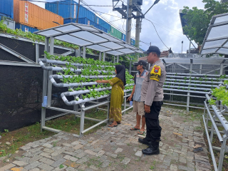 Bhabinkamtibmas Gelar Pembinaan dan Asistensi Program Ketahanan Pangan di Pekarangan Hidroponik Petekkan