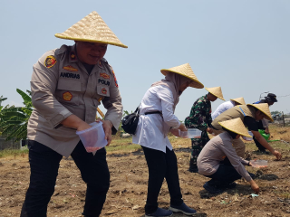 Pelaksanaan Penanaman Jagung Serentak Kuartal IV dan Peresmian Ops Gudang Penyimpanan Jagung SLOG Polri Guna Mendukung Swasembada Pangan Tahun 2025