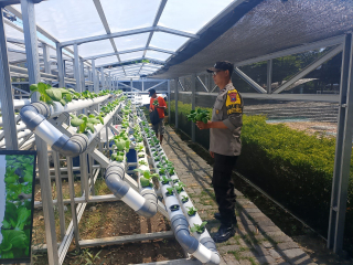 Bhabinkamtibmas Laksanakan Pembinaan Program Ketahanan Pangan di Kelurahan Tanjung Perak