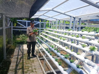 Bhabinkamtibmas Laksanakan Pembinaan Program Ketahanan Pangan Hidroponik di Taman Petekkan Riverside