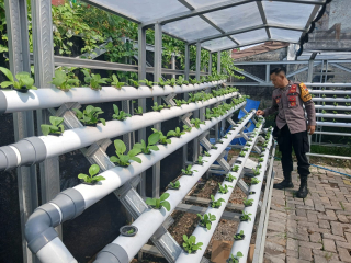 Bhabinkamtibmas Laksanakan Pembinaan Program Ketahanan Pangan Melalui Pekarangan Hidroponik Petekkan