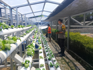 Sinergi Bhabinkamtibmas dan Warga Pabean Cantikan dalam Pembinaan Pekarangan Pangan Hidroponik untuk Mendukung Ketahanan Pangan dan Kamtibmas Wilayah