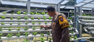 Bhabinkamtibmas Laksanakan Pembinaan Program Ketahanan Pangan Melalui Asistansi Pekarangan Hidroponik Petekkan Riverside