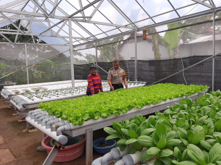 Bhabinkamtibmas Perak Barat Laksanakan Sambang Kelompok Wanita Tani Dorang Cinta Dukung Program Ketahanan Pangan Berbasis Hidroponik