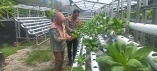 Bhabinkamtibmas Laksanakan Pembinaan Program Ketahanan Pangan Melalui Hidroponik