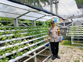 Bhabinkamtibmas Laksanakan Pembinaan Program Ketahanan Pangan Hidroponik di Taman Petekkan Riverside