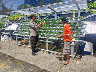 Bhabinkamtibmas Laksanakan Pembinaan Program Ketahanan Pangan Hidroponik di Taman Petekkan Riverside