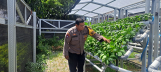 Bhabinkamtibmas Laksanakan Pembinaan Program Ketahanan Pangan Hidroponik di Taman Petekkan Riverside