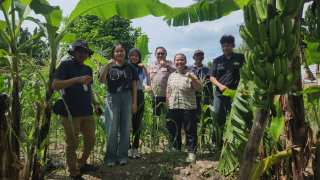 Wujudkan Swasembada Pangan, Polsek Kenjeran Gandeng Mahasiswa Riset Kualitas Jagung di Tambak Wedi