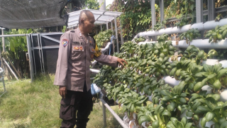 Pembinaan Ketahanan Pangan Hidroponik di Taman Petekkan Riverside, Bhabinkamtibmas Dorong Warga Tingkatkan Perawatan dan Produktivitas