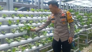 Bhabinkamtibmas Laksanakan Pembinaan Ketahanan Pangan Hidroponik di Taman Petekkan Riverside