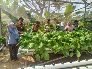 Polres Pelabuhan Tanjung Perak Panen Sawi Caisin Hidroponik, Wujud Nyata Dukung Ketahanan Pangan Nasional