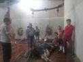 Babinkamtibmas Sidotopo Pantau Pelaksanaan Penyembelihan di RPH