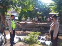 Polsek Semampir Pantau Ketinggian Air di Sungai Pegirian, Antisipasi Potensi Banjir