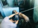 Unit Satwa Satsabhara Polres Tanjung Perak Lakukan Perawatan Rutin Anjing Pelacak