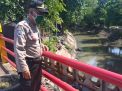 Polsek Semampir Pantau Debit Air di Sungai Kalimas, Antisipasi Potensi Banjir