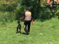 Unit Satwa Polres Tanjung Perak Lakukan Perawatan & Pelatihan Anjing