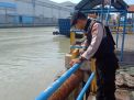 Satsabhara Polres Tanjung Perak Pantau Debit Air di Pelabuhan Kalimas, Antisipasi Potensi Banjir