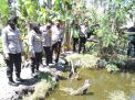 Kapolres Tanjung Perak Pantau Budidaya Ikan Warga Kampung Tangguh RW 05 Takal Kedinding