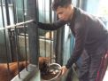 Unit Satwa Satsabhara Polres Tanjung Perak Lakukan Perawatan Rutin Anjing Pelacak