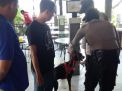 Unit K9 Satsabhara Polres Tanjung Perak Deteksi Jejak Pelaku Pembobol Brankas