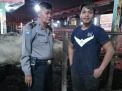 Polsek Semampir Pantau Proses Penyembelihan Sapi di RPH