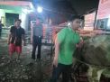 Polsek Semampir Pentau RPH, Antisipasi Penyembelihan Sapi Betina Produktif