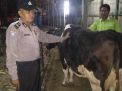 Babinkamtibmas Sidotopo Lakukan Pengawasan di RPH Pegirian