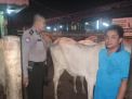 Babinkamtibmas Pegirian Sambang RPH, Pastikan Proses Penyembelian Berjalan Lancar