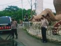 Polsek Kenjeran Lakukan Pawas Patroli Memastikan Situasi Aman Terkendali