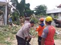 Sinergitas TNI-POLRI Dan Pemkab Sampang Bantu Bersihkan Pohon Tumbang Di Ponpes Nurul Alam Prajjan Camplong