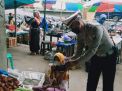 Polsek Kenjeran Gelar Operasi Masker di Pasar Krempyeng, Sekaligus Bagikan Masker Gratis Kepada Warga