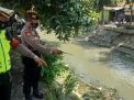 Polsek Semampir Lakukan Pemantauan Debit Air Sungai Pegirian, Antisipasi Terjadinya Bencana Banjir