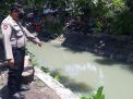 Polsek Semampir Laksanakan Pengecekan Debit Air Sungai Pegirian, Terpantau Keadaan Normal
