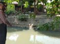 Polsek Semampir Cek Kondisi Sungai Pegirian, Situasi Terpantau Normal