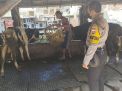 Polsek Semampir Lakukan Sosialisasi PMK Sekaligus Cek Kandang Hewan Ternak di Jalan Platuk