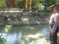 Polsek Semampir Cek Kondisi Debit Air Sungai Pegirian, Waspada Adanya Kenaikan Air Sungai